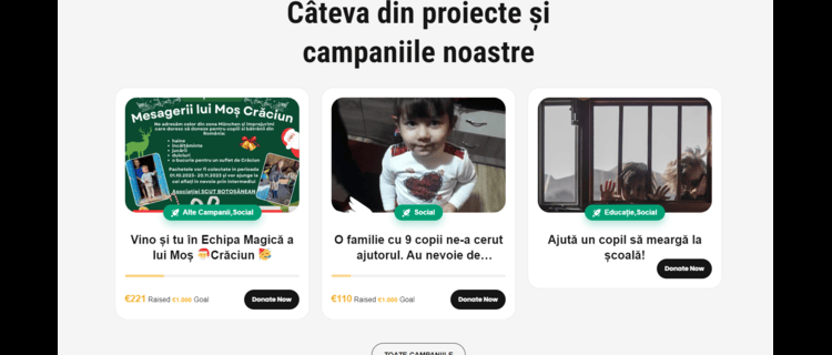 website organizație non-profit